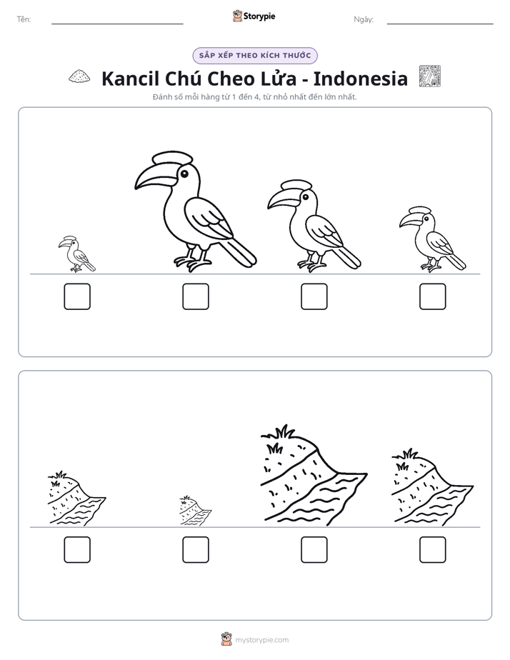 Thứ Tự Kích Thước