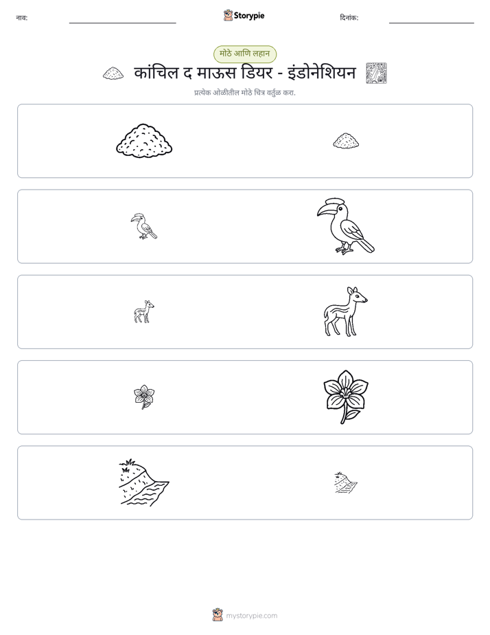 वर्गीकरण