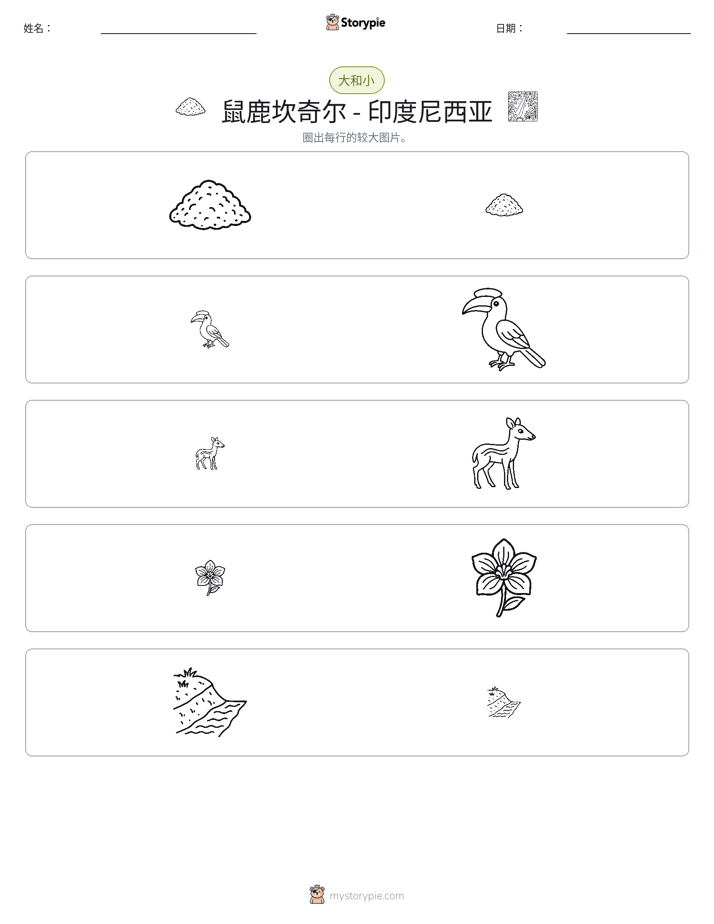 分类