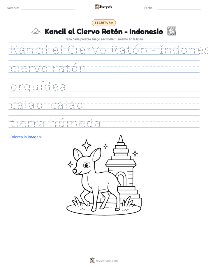 Práctica de Escritura