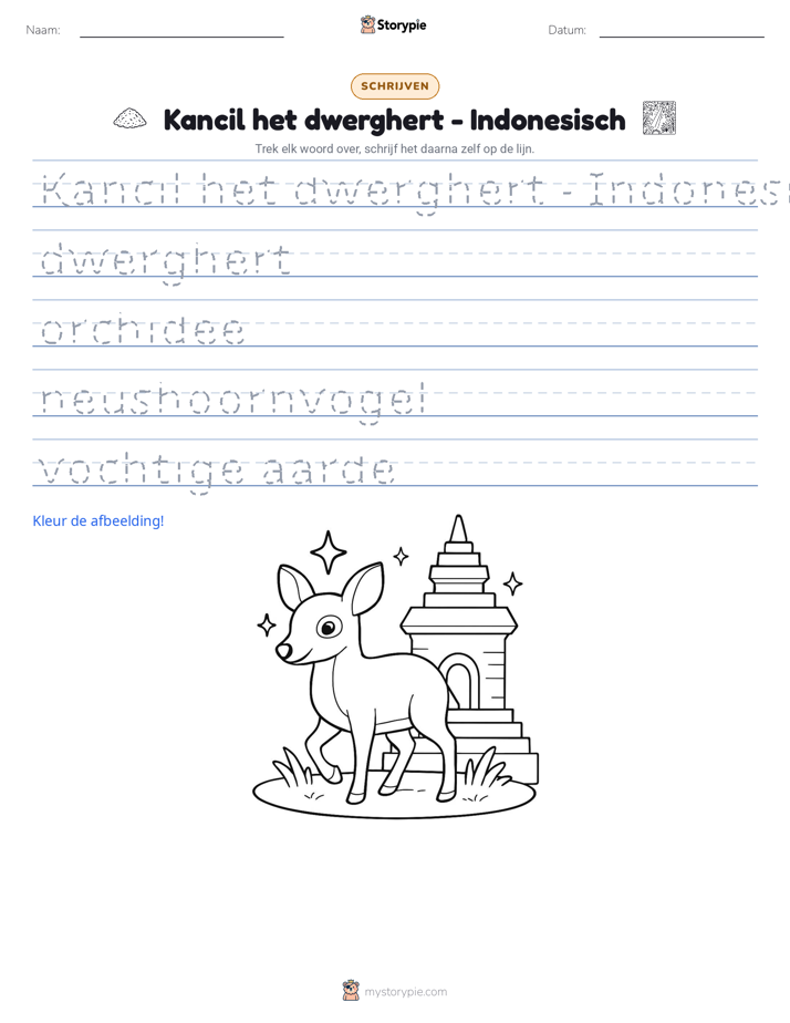 Schrijf Oefening