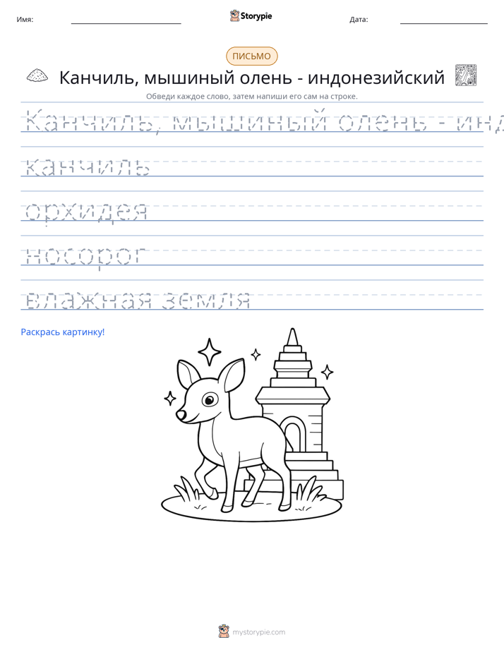 Практика письма