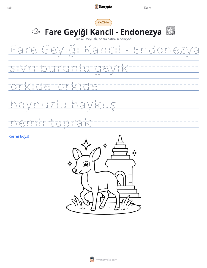 Yazma Pratiği