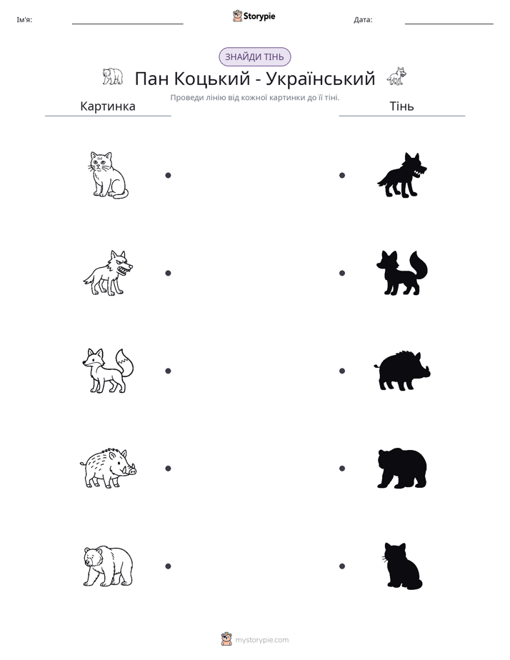 Тіньове Відповідність