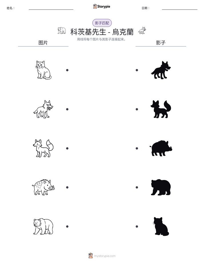 影子匹配