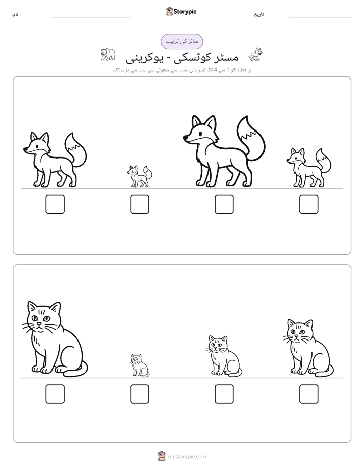 سائز کی ترتیب
