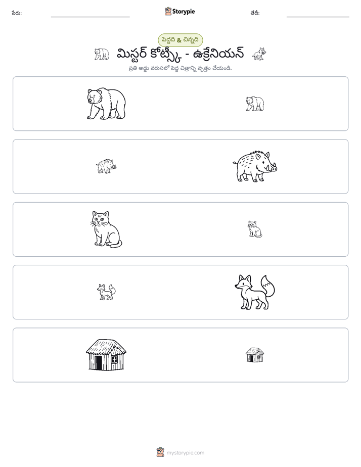 వర్గీకరణ