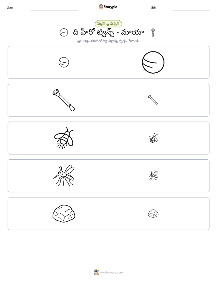 వర్గీకరణ