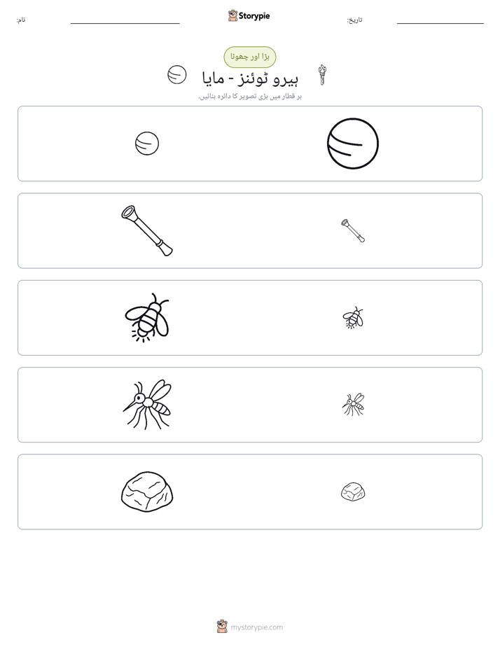 ترتیب دینا
