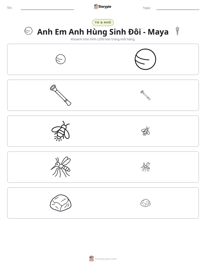 Phân Loại