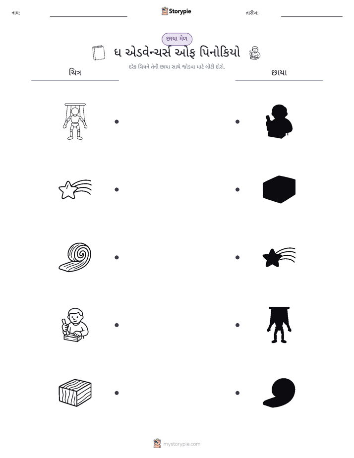 શેડો મેચ