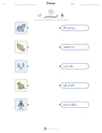 الیبریخیس پرنٹ کرنے کے قابل ورکشیٹ کا پیش نظارہ