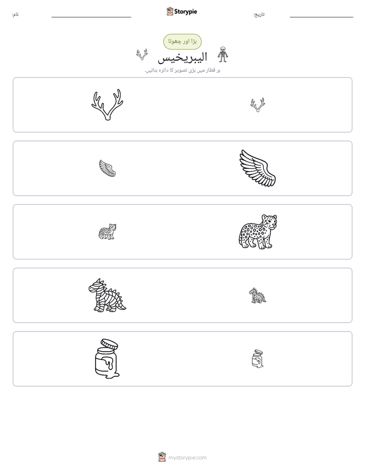 ترتیب دینا