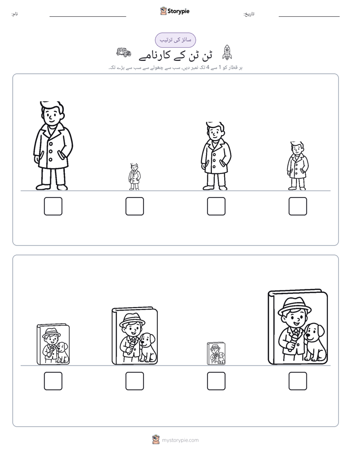 سائز کی ترتیب