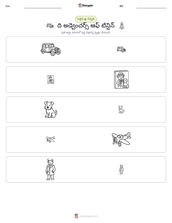 వర్గీకరణ