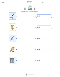 海蒂 可打印工作表预览