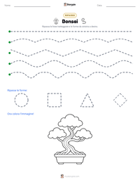 Anteprima della scheda stampabile di Bonsai