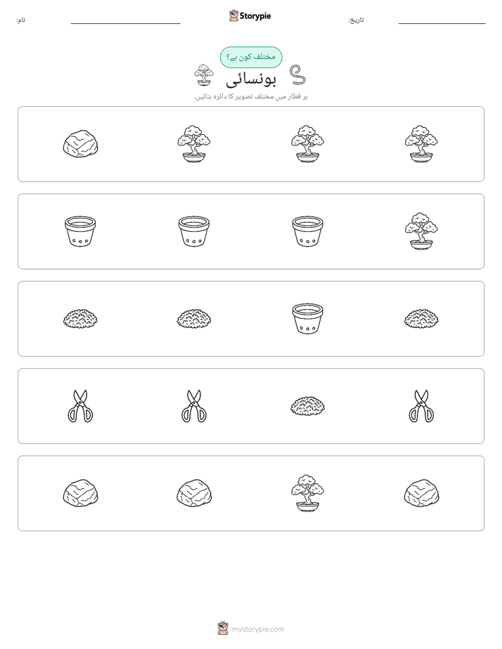 عجیب ایک