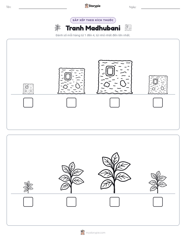 Thứ Tự Kích Thước