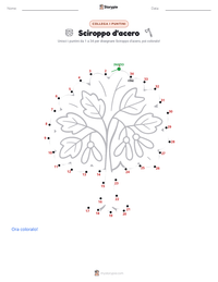 Anteprima della scheda stampabile di Sciroppo d'acero