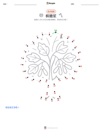 枫糖浆 可打印工作表预览