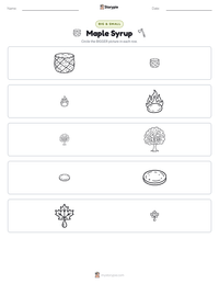 Maple Syrup printable worksheet preview