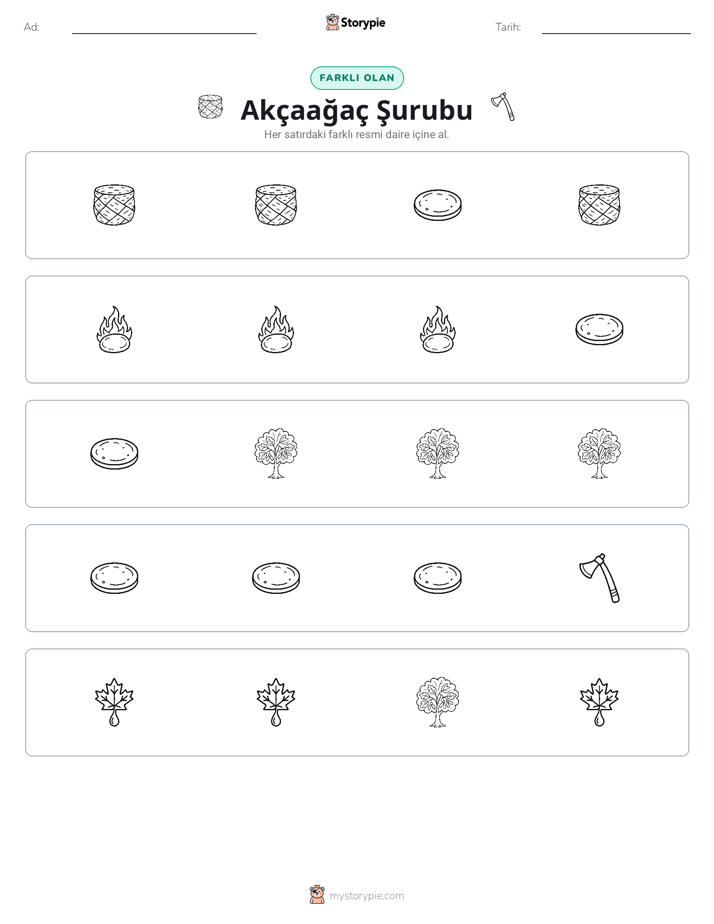 Farklı Olanı Bul