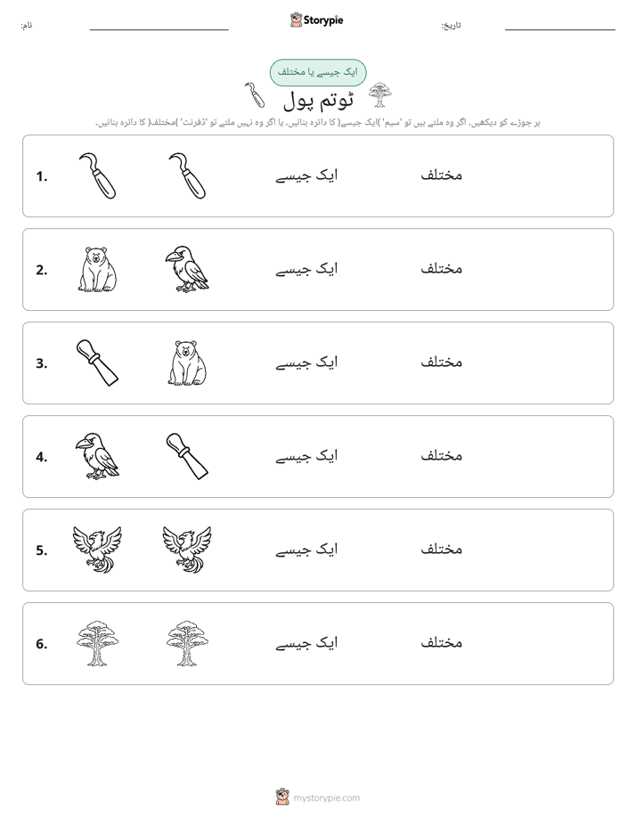 ایک جیسا یا مختلف