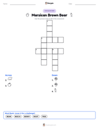 Marsican Brown Bear printable worksheet preview