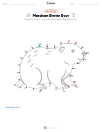Marsican Brown Bear printable worksheet preview