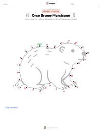 Anteprima della scheda stampabile di Orso Bruno Marsicano