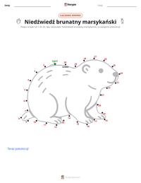 Podgląd drukowalnego arkusza ćwiczeń Niedźwiedź brunatny marsykański