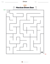 Marsican Brown Bear printable worksheet preview