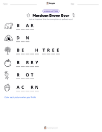 Marsican Brown Bear printable worksheet preview