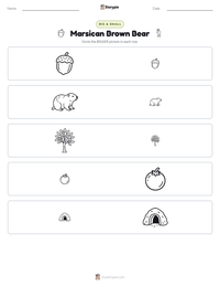Marsican Brown Bear printable worksheet preview