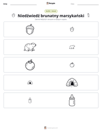 Podgląd drukowalnego arkusza ćwiczeń Niedźwiedź brunatny marsykański
