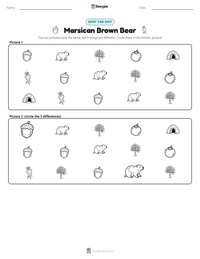 Marsican Brown Bear printable worksheet preview