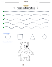 Marsican Brown Bear printable worksheet preview