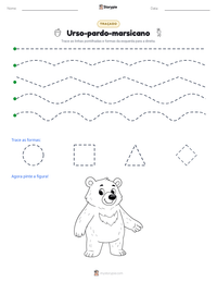 Prévia da folha de atividades imprimível Urso-pardo-marsicano