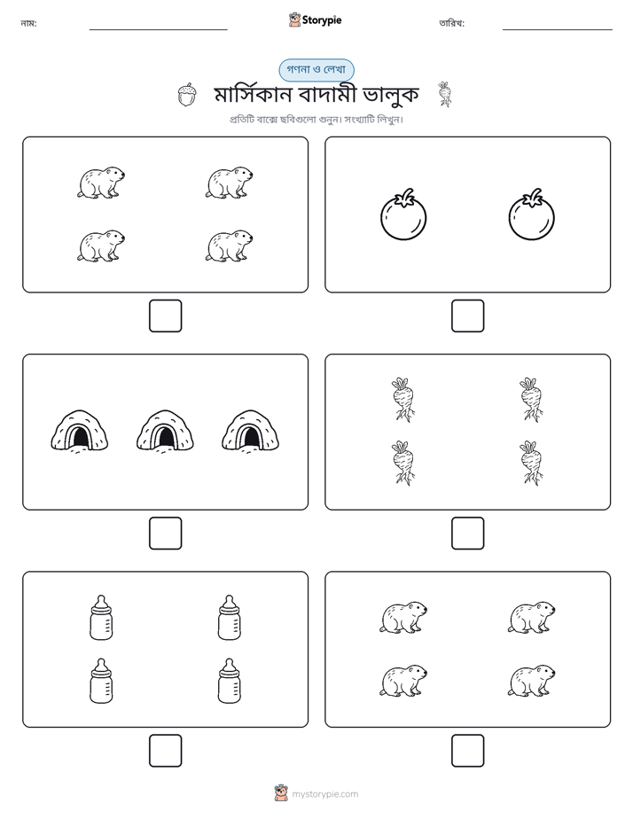 গণনা & লিখুন