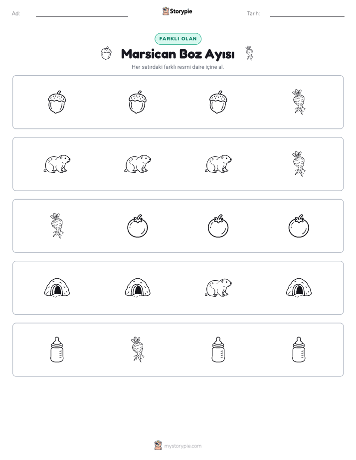 Farklı Olanı Bul
