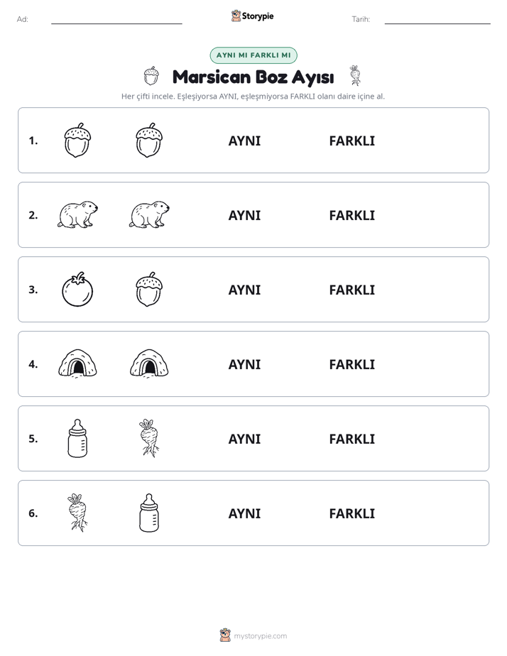Aynı mı Farklı mı
