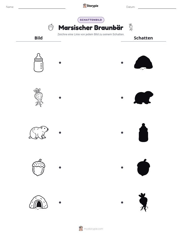Schattenmatch