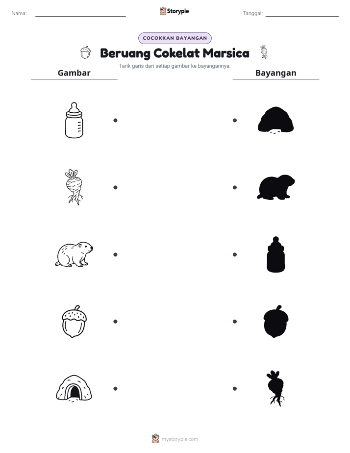 Cocokkan Bayangan
