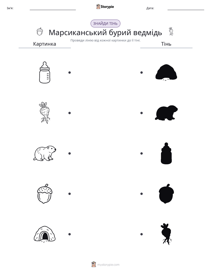 Тіньове Відповідність