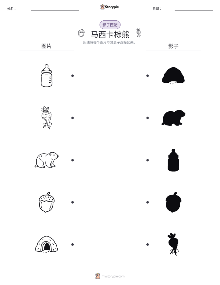 影子匹配