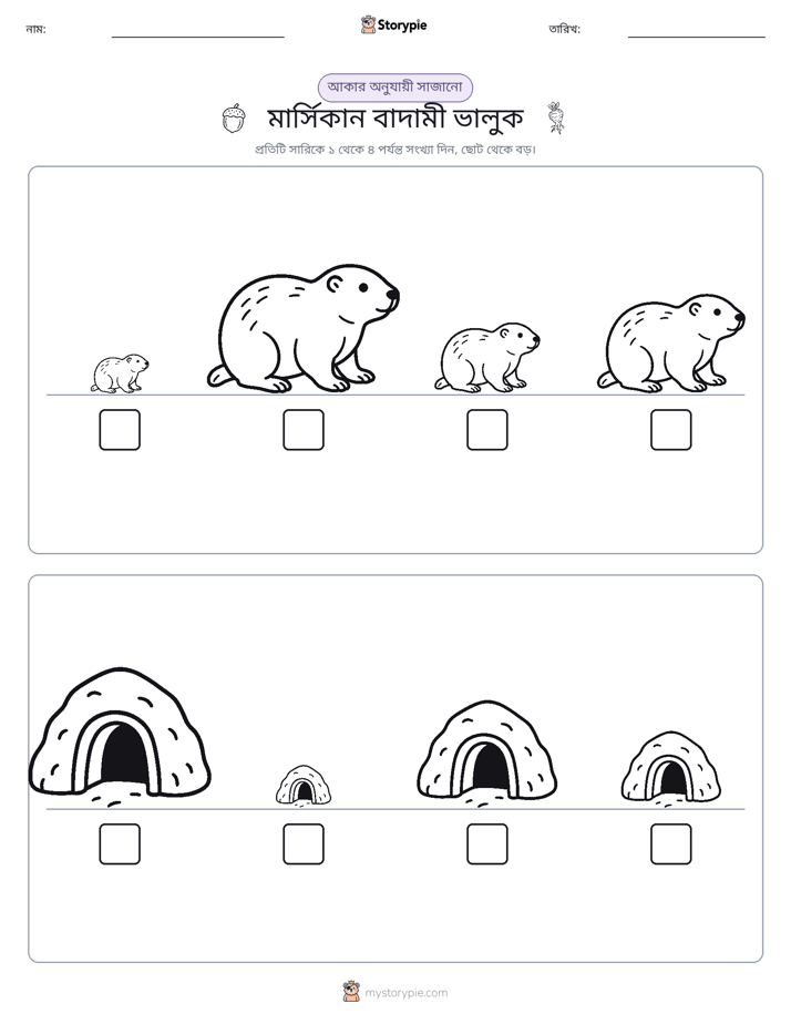 আকারের ক্রম