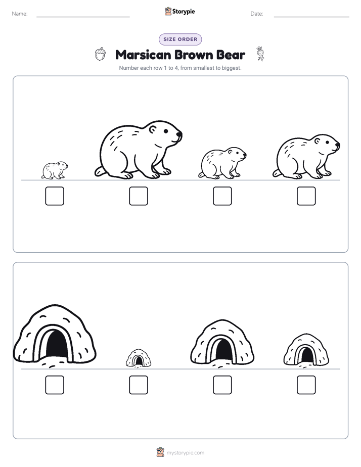 Size Order