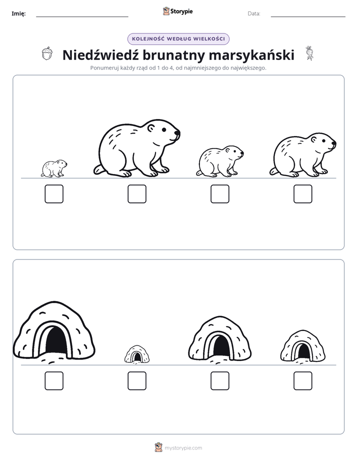 Porządek rozmiarów