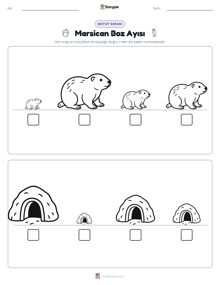 Boy Sıralaması
